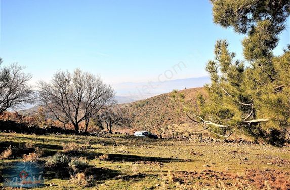 ▂▃ AKTİF'TEN KUYUCAK KÖYÜNDE DENİZ MANZARALI MUHTEŞEM BAHÇE ▂▃