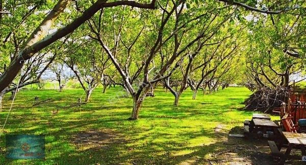 AKTİF'TEN ÇORUK'TA SUYU VE YOLU OLAN 7 DÖNÜMLÜK SATILIK TARLA