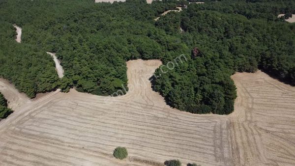  ÇANAKKALE MERKEZ ÇINARLI DA YOLU OLAN 13.000 M2 SATILIK TARLA