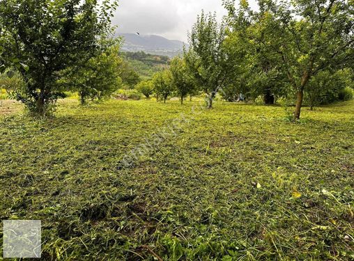 İznik Merkeze Yakın Hobi Bahçesi