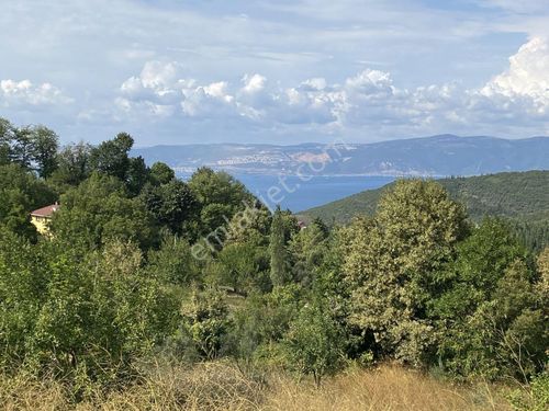  KÖY İÇİ DENİZ MANZARALI YOL SU ELEKTRİK HAZIR YETİŞMİŞ BAHÇE 4992 MT