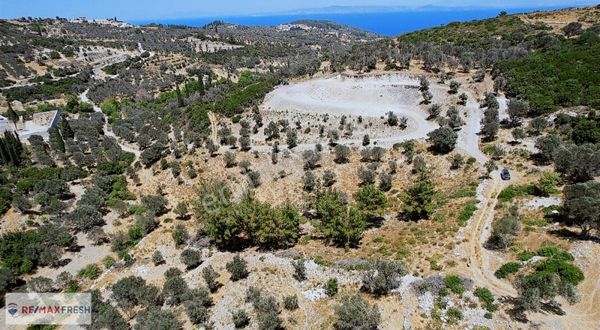 KARABURUN KÖSEDERE'DE TARIM İMARINA UYGUN ZEYTİN AĞAÇLI TARLA