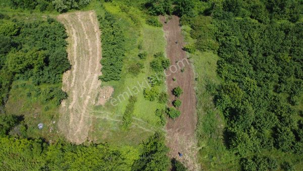  DELİVELİDE KÖYÜN YANINDA ARKASI DERE MUHTEŞEM TARLA