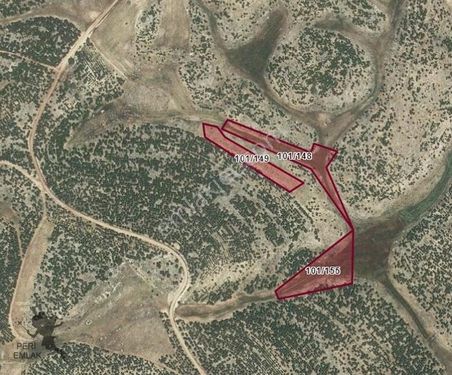 SORGUN'DA 3 ADET KARDEŞ PARSEL TOPLAM 12.942M2 - PERİ EMLAK'TAN