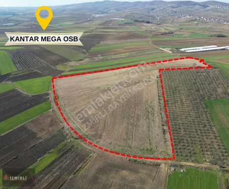 SÖĞÜTLÜ FINDIKLI KÖYÜNDE 61203m2 MEGA OSB YAKINI YATIRIM FIRSATI