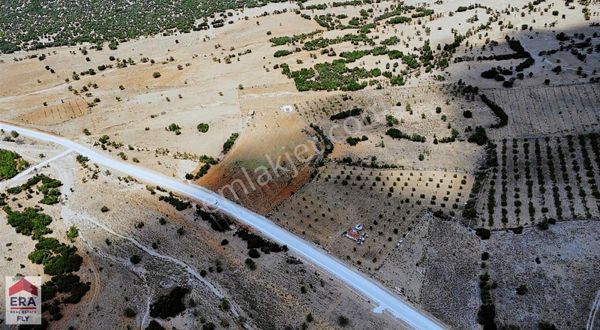 Era Fly'dan Tavas Kızılca'da Satılık Tarla