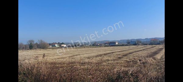 Bafra Organize Sanayi Bölgesine Yakın Mesafede Tarla 10726 M2