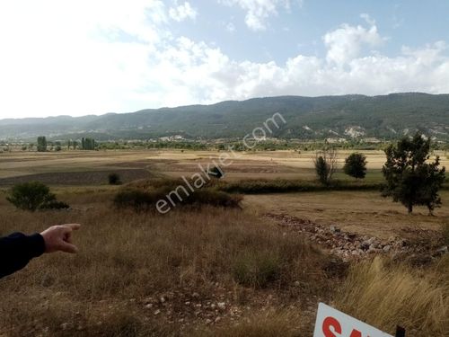 Denizli Çameli Belevi Mahallesinde 2603 M2 Tarla Satılık