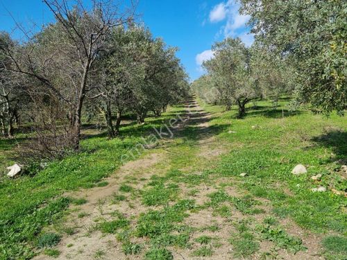 Kıbrıs, İskele'de Casa La Vısta 2+1 Satılık Bungalov