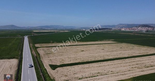 Foça Gerenköy de Foça Yolu Üzerinde 444 M2 Bağımsız Tapulu Tarla