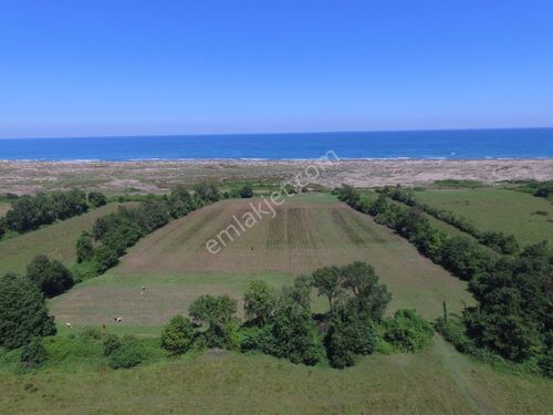 Sakarya Karasu Denizköy'de 33.166 m² Deniz Manzaralı, Yatırım Potansiyeli Yüksek Arsa!