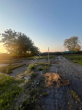 Yalova Çiftlikköy Taşköprü Satılık Arsa