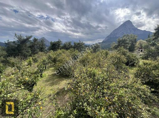 Konyaaltı/akdamlar Mah. Merkezde 4200 M2 Müstakil Parsel Takaslı