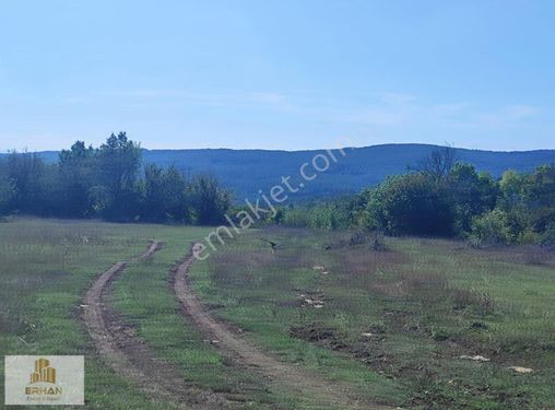 Kırklareli Vize Küçükyayla 5.050 M2 Müstakil Tek Tapu Tarla