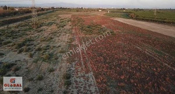 Alaşehir Çayı Cepheli 40 Dönüm Kiralık Tarla