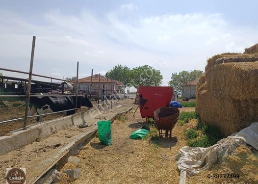 Yenişehir Mah Anayol Üstü 7.000 M² 3 Adet Evi 600 M² Açık Besi Yeri Kuyulu Satılık Çiftlik