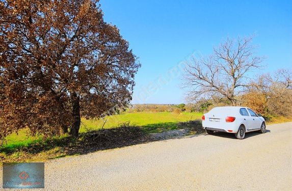 Aktiften Kadastro Yolu Ve Suyu Olan Harika Konumlu Satılık Tarla