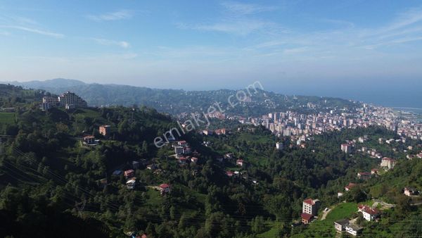 Rize Merkez Balsu Mahallesinde Satılık Arsa