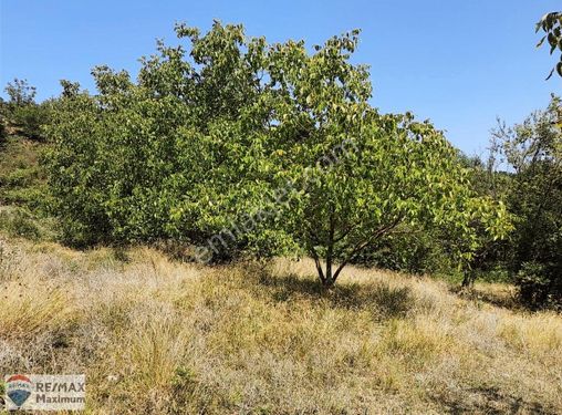 İzmit Orhaniye Satılık Köyiçi 807 m2 Arsa