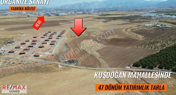 KUŞDOĞAN DA KÜME EVLERİNE SIFIR 47 DÖNÜM TARLA