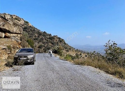 Karpuzlu Koğukta Asfalt Yola Cephe 4740m2 Zeytinlik