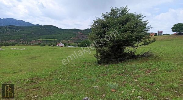 TUNCELİMERKEZ İSMET İNÖNÜ MAHALLESİ ANA YOLA YAKIN ARSA