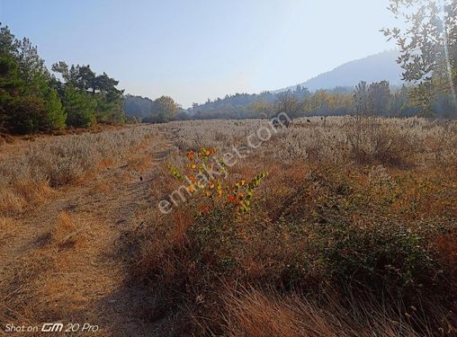 Menderes' Te Resmi Tapulu Satılık Arsa