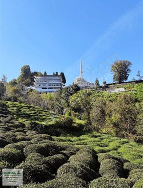 Rize Merkez Halatçılar Mahallesinde Satılık/ Kat Karşılığı Arsa