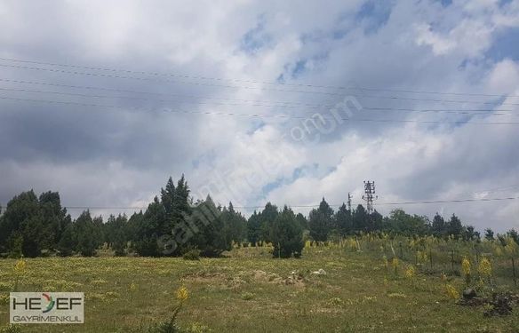 HEDEF'TEN ARSLANKÖY GİRİŞİNDE ANA YOL BİTİŞİĞİ 2.914 M2 ARSA