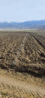 Burdur Yeşilova Yukarı Salda Köyünde Salda Gölüne Yakın Tarla