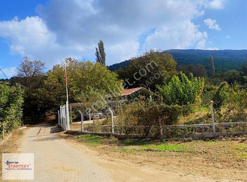 İzmir Bayındır Alankıyı Mahallesinde Satılık Bahçe