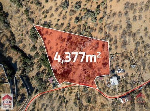 Datça Cumalı Köyünde 4.377m2 Satılık Arsa