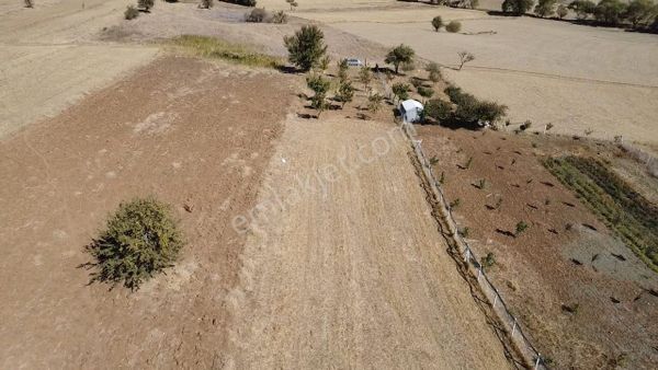 Ayşah Gayrimenkulden Denizli Tavas'ta Satılık Fırsat Tarla