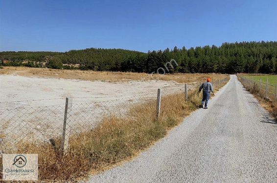 Cumaovası Emlak'tan Kiralik 4,5 Dönüm Tarla