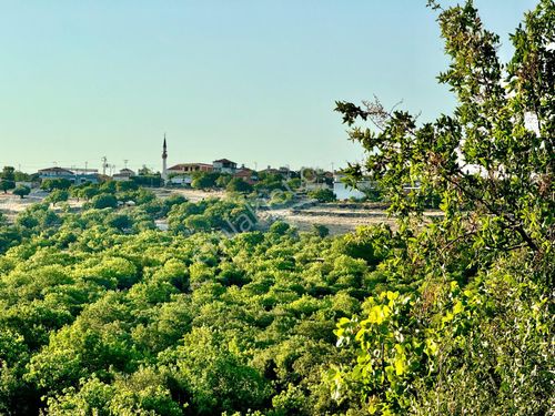 Manisa Küçükbelen ' De 7.600 M2 Tarla , Köye Yakın