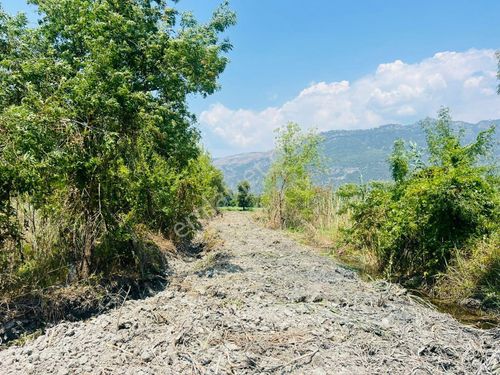 Köyceğiz De Satılık Müstakil Tapulu Arazi İçinde 3 Adet Konut Ve Arsası