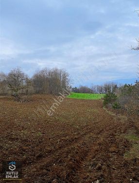 Mudurnu Taşkesti Beldesi Satılık Tarla 2759 M2