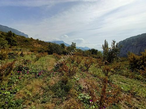 Kocaoğludan Son Fırsat Sarılarda Sitenin En Uygunu Satılık Arsa