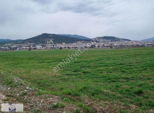 TURYAP'TAN ACIPAYAM AŞAĞI MAHALLE'DE SATILIK TARLA