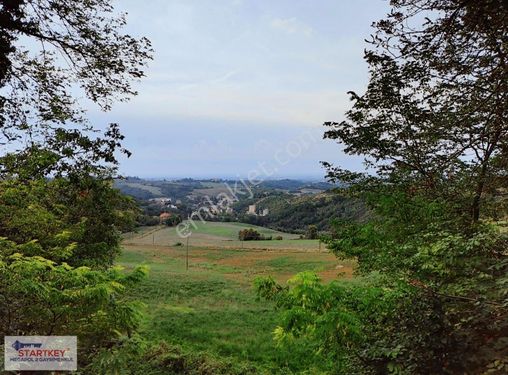 Kemalpaşa'da Satılık Tiny House Arazileri