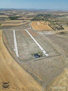  Ankara Polatlı Kargalı Mahallesi 450 m2 OMCA WINEYARDS Satılık Hobi Bahçeleri