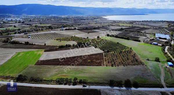 AKÇALARDA YOLA PARSEL 8100 M2 SATILIK TEK TAPU TARLA