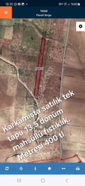 Karkamış Erenyolu (tılhaberş Köyü) Satlık Mahsüllü Fıstıklık Tek Tapu