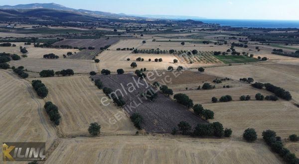 Çanakkale Ezine Uluköy'de Deniz Manzaralı Kupon Arazi