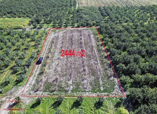 Sakarya Geyve Alifuatpaşa Umurbey Mah. 2444,26 M2 Satılık Tarla