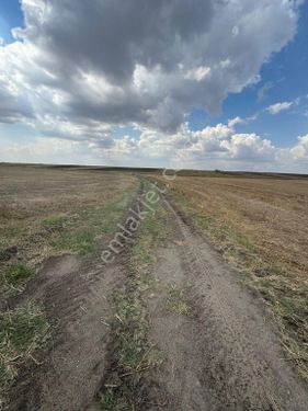 Tekirdağ Saray Osmanlıda Hisseli Satılık Arsa