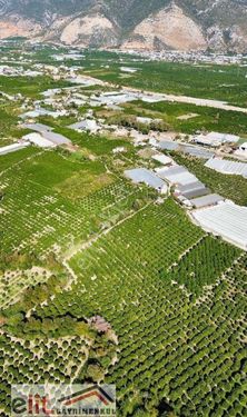 ANTALYA İLİ FİNİKE İLCESİ TURUCUOVADA SATILIK PORTAKAL BAHCESİ 5000METRE KARE