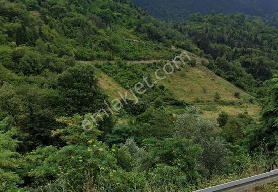 Trabzon Maçka Esiroğlu Mahallesi Satılık Arazi