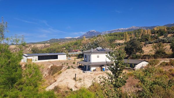 Stop’tan Seydikemer Yaka 11.150 M² Hazır Kurulu Çiftlik