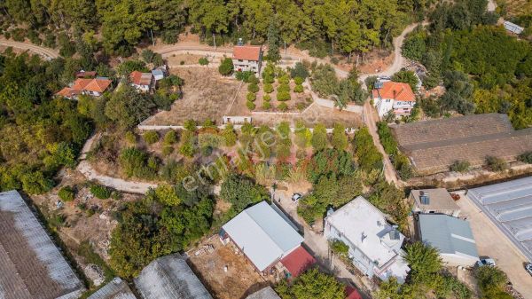 Çakırlar Yenimahalle'de Rıza-i Taksimli Satılık Portakal Bahçesi